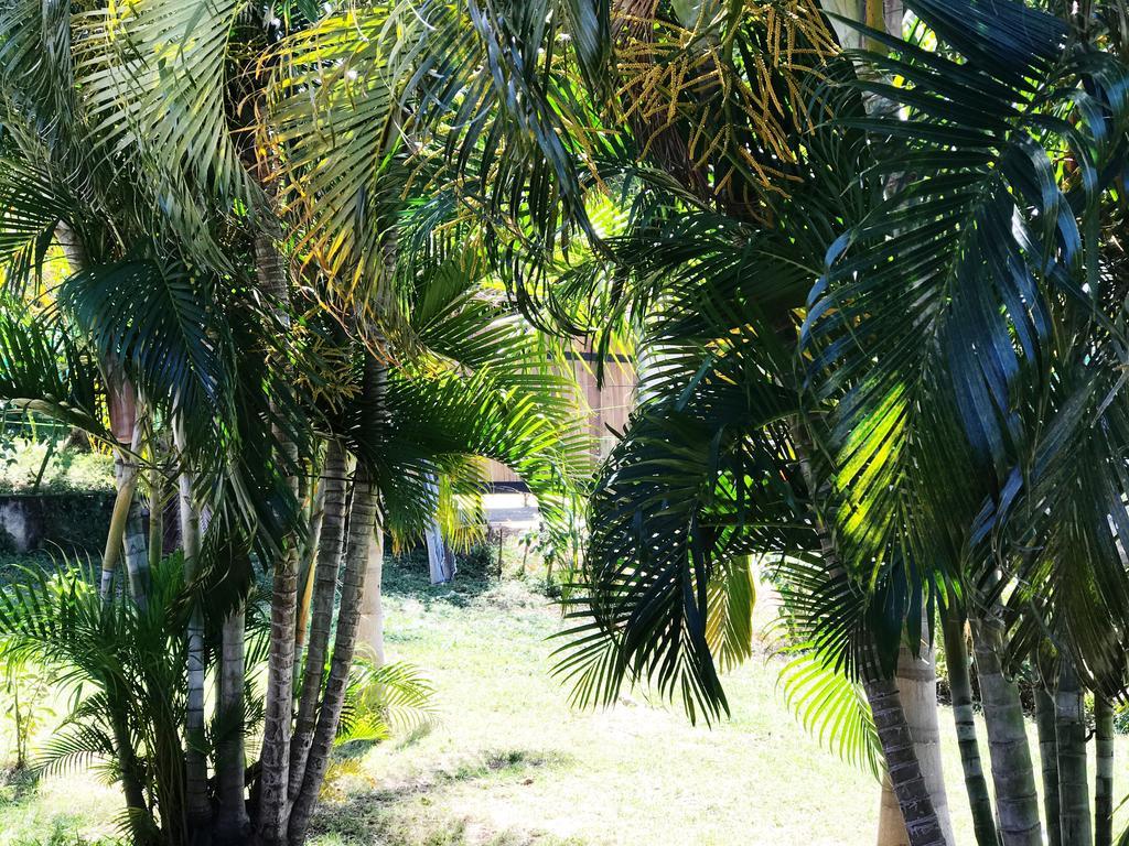 Tsunami Hostel Tamarindo Exterior foto